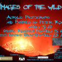 “Images of the Wild” Exhibition